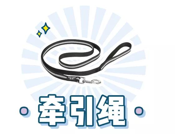 萌新应该养什么便宜宠物狗,萌新怎么入门宠物技能