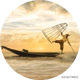 鳖类养殖,甲鱼专用饲料成本