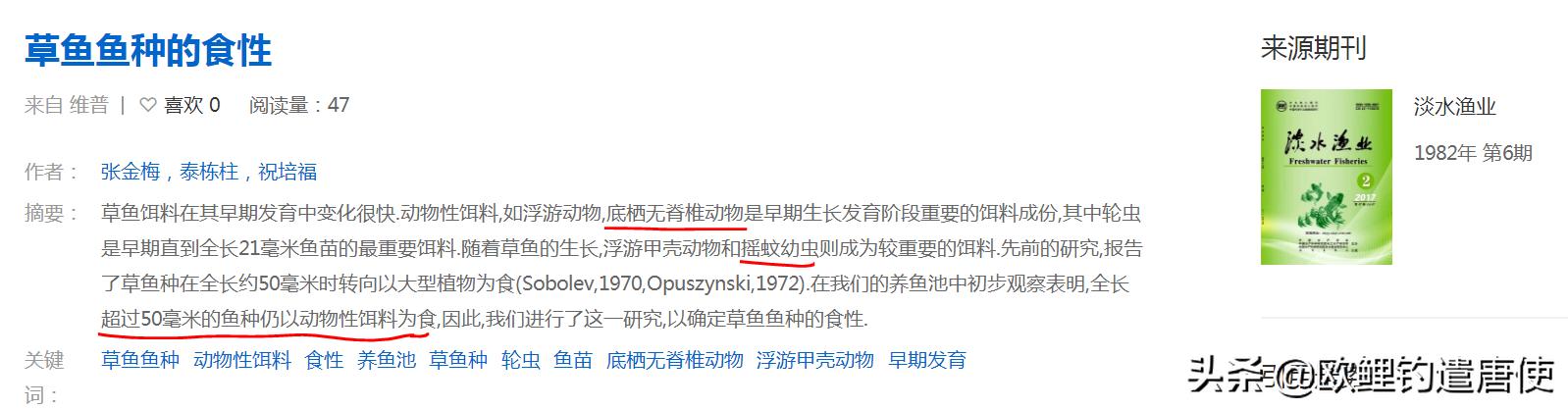 话说欧鲤钓之科学篇,欧鲤钓知识讲解
