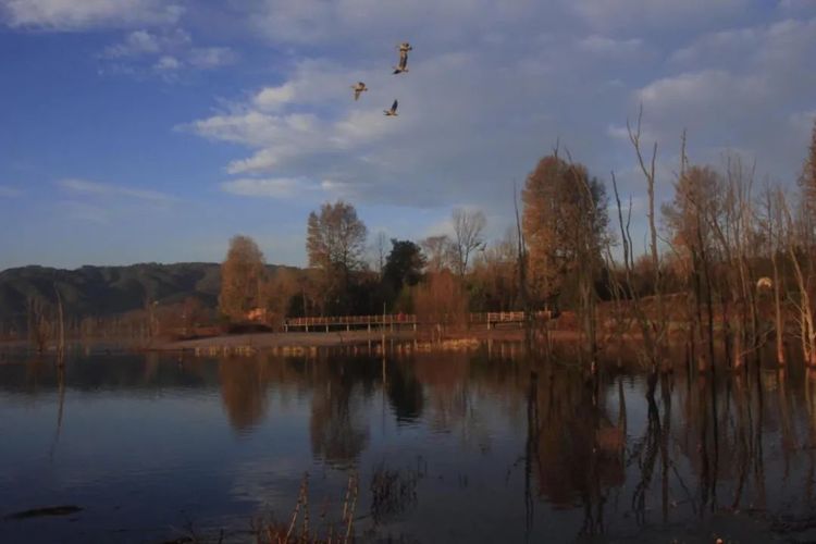 这座低调的小城,凭什么跻身云南6大国家历史文化名城之列?