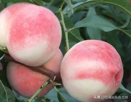 西北偏北兰州,西北偏北的兰州