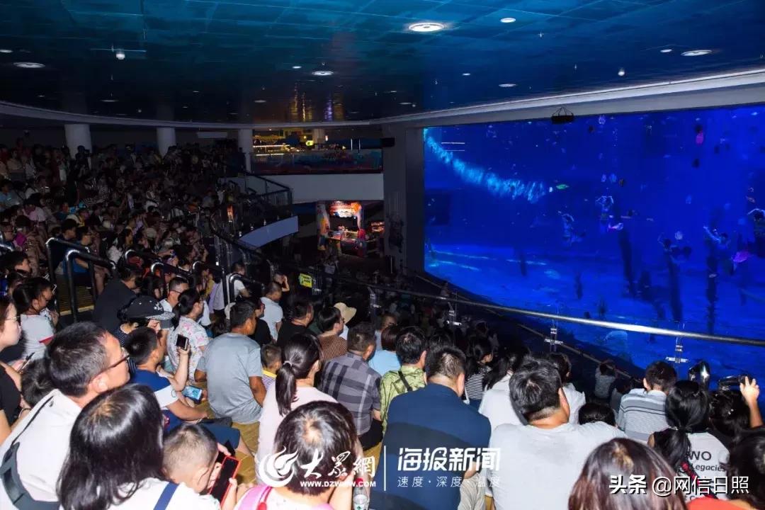 全是东北人的海边,日照海边下饺子