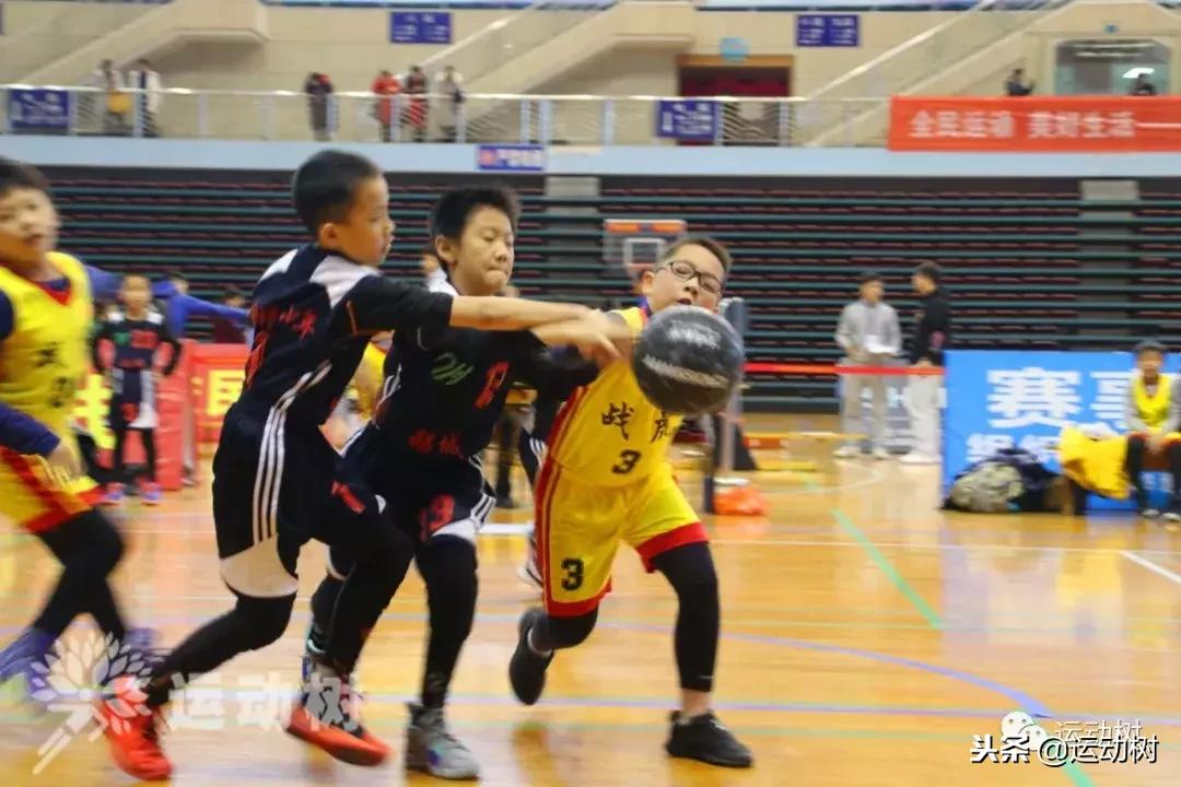 中国篮球名宿走进学校,中国篮球名宿26分