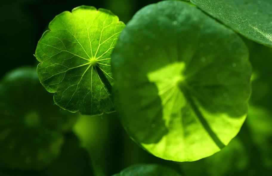 做人要懂得投资自己,做人赚钱的原则