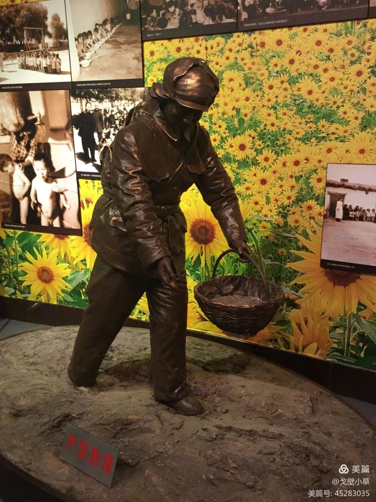 石河子兵团自贸区,石河子农垦第一城