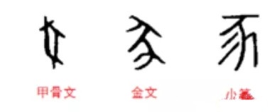 猪属于中国文化的一种吗,猪也是有思想的