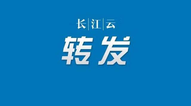 权威发布！武汉市这12名*党**员干部被火线提拔