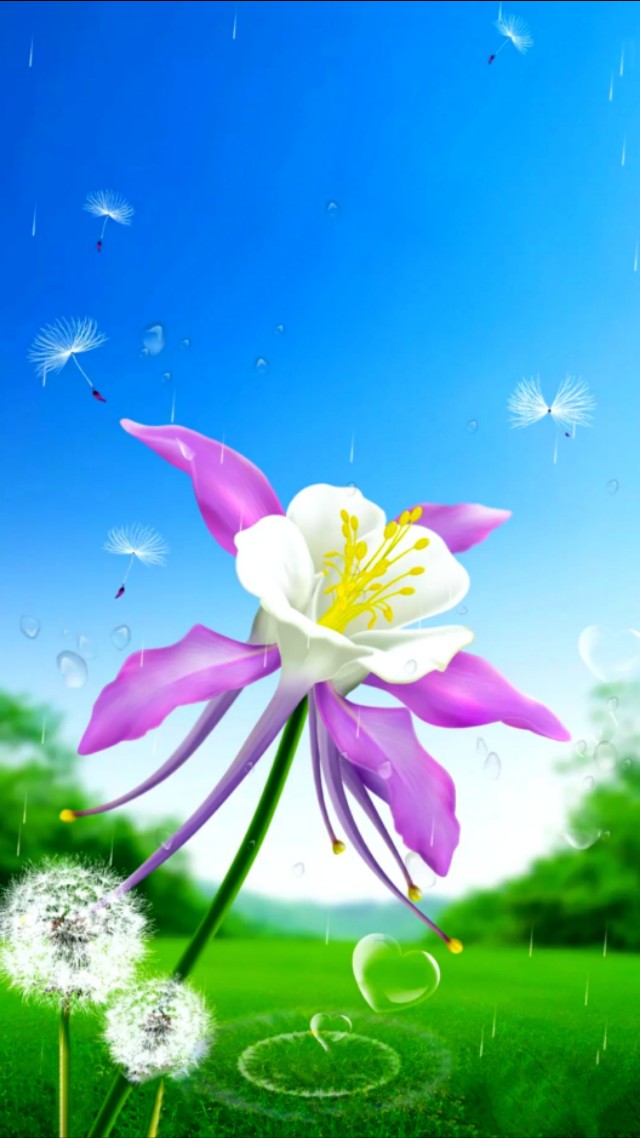 小清新花朵壁纸唯美文艺,唯美淡雅花朵风景图片壁纸