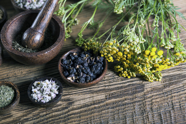 神医扁鹊故事完整版,名医扁鹊故事