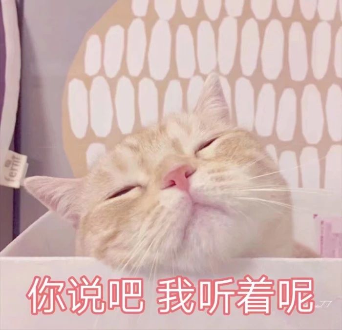 四十岁女人最适合的口红色号,口红最不易掉色的品牌