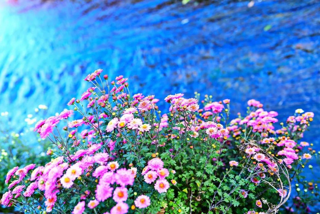 25张照片丽江,20张图片带你看世界