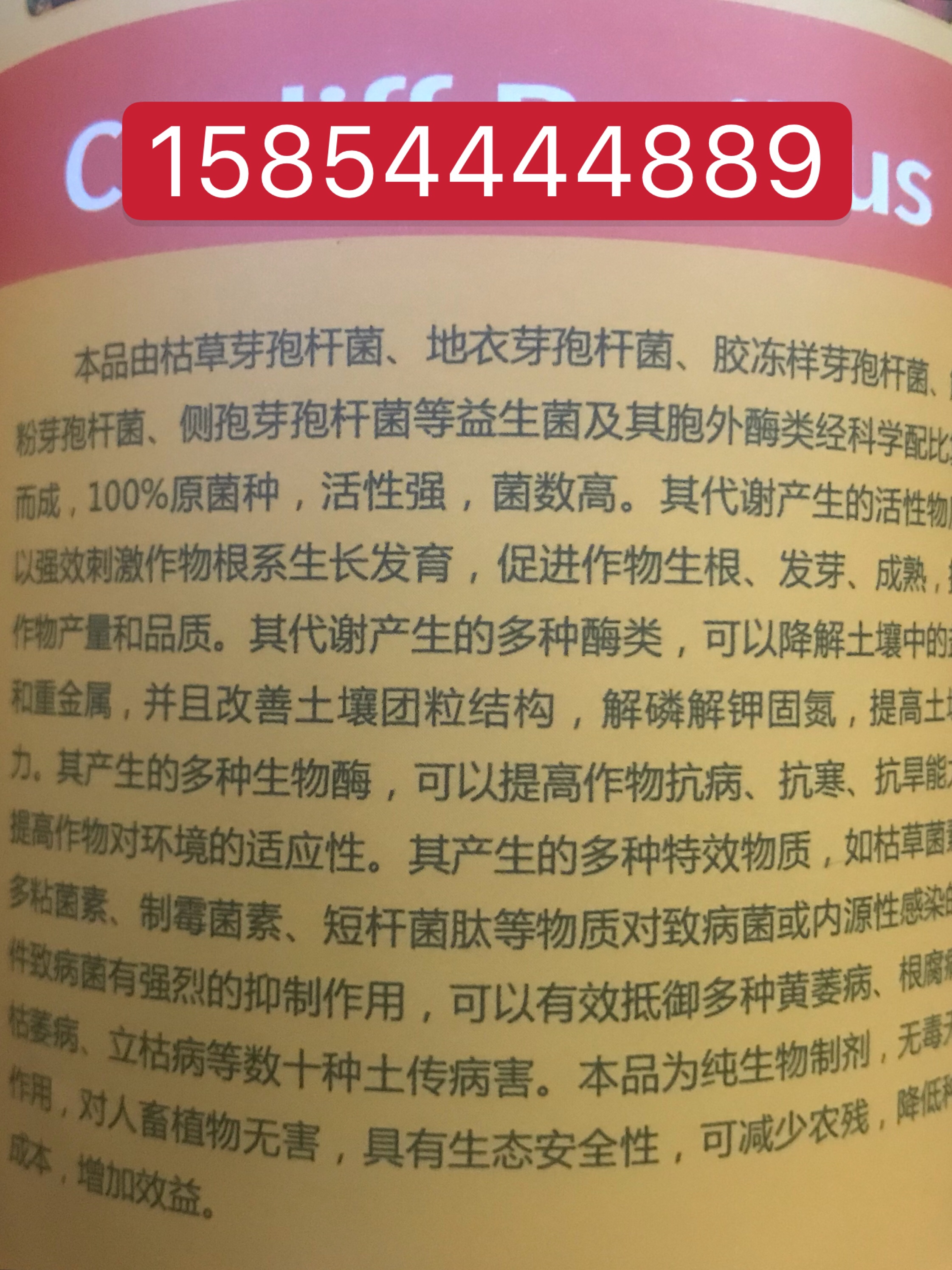 枯草芽孢杆菌这么火你不来来了解一下？