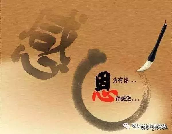 “驴子孝”，感天动地的真实故事