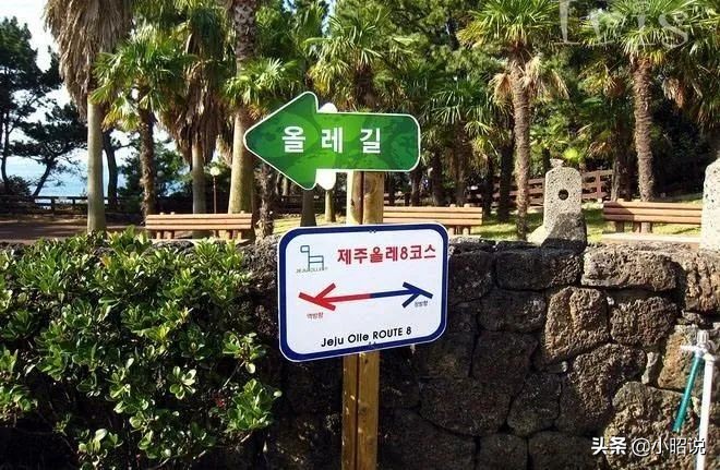 济州岛去不了了吗,济州岛深度自由行攻略