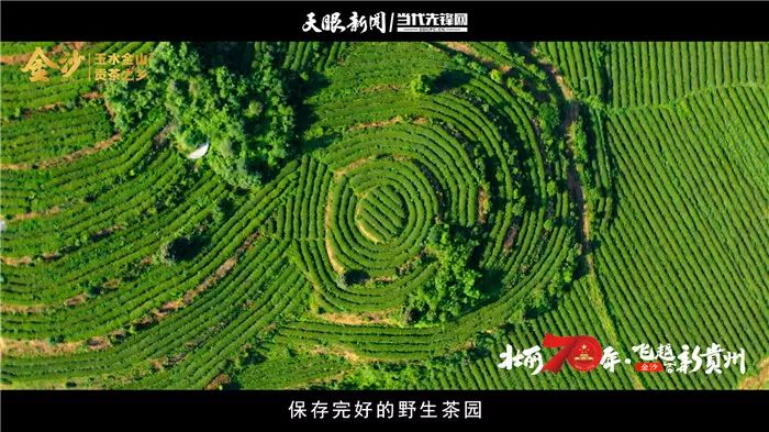 茶马古道丽水金沙,千年古镇丽水金沙