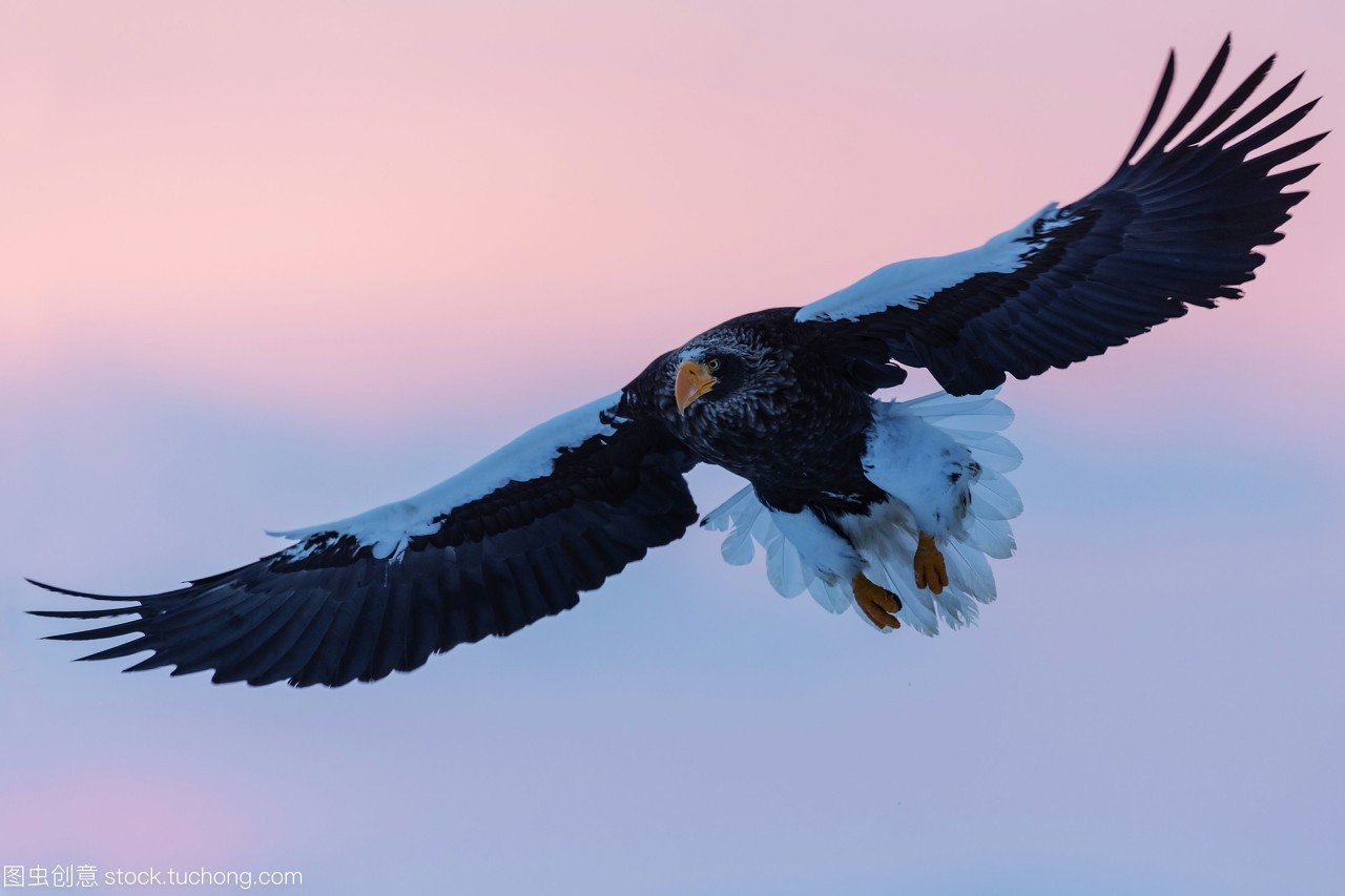 亚洲杯中国队入场,关于亚洲杯中国队