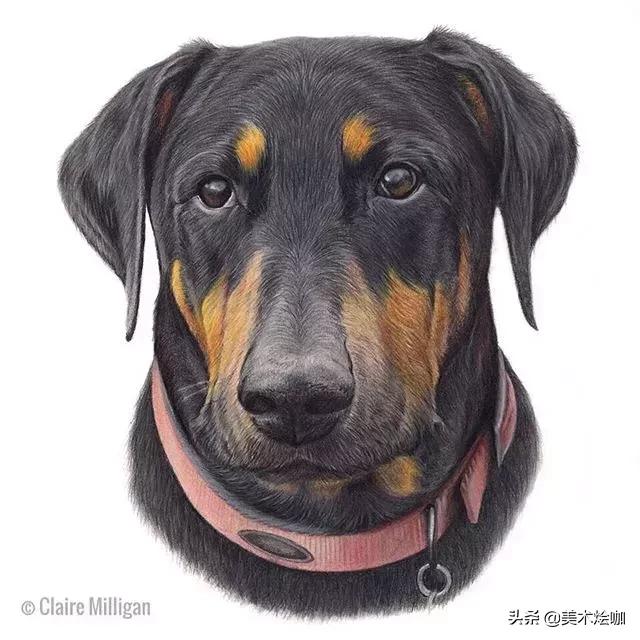 画的比照片还逼真,画的比照片还真实