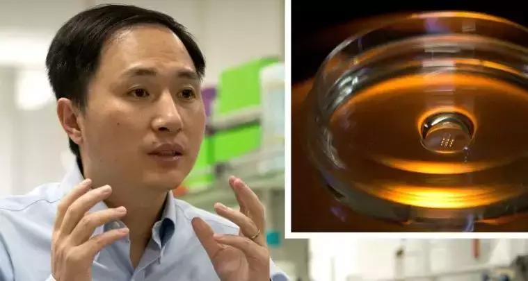 基因编辑婴儿被敲掉的位点什么来头？曾治愈艾滋病患现却走火入魔