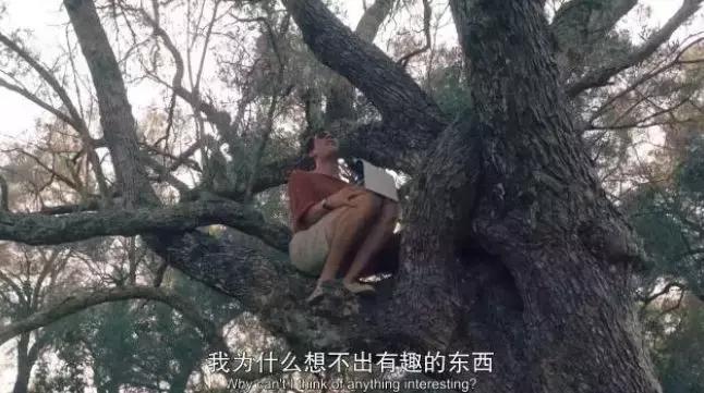 开播就飙到9分的电视剧,豆瓣9.4分日本神剧