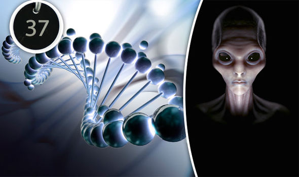 可爱的茶杯犬后面真相却很残忍,茶杯犬是怎样形成的视频