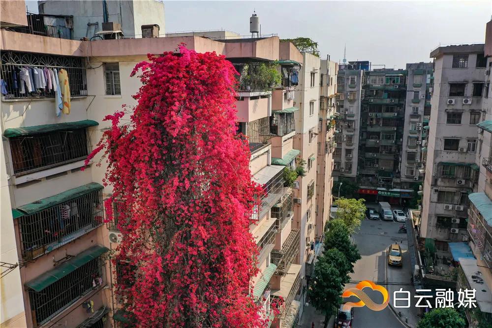 白云看起来很低说明什么,白云看清了自己