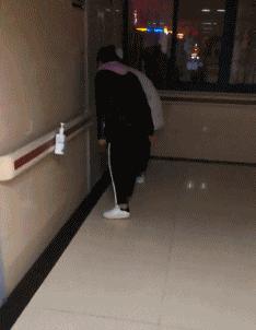 在野外发现甘蔗,在山里发现甘蔗