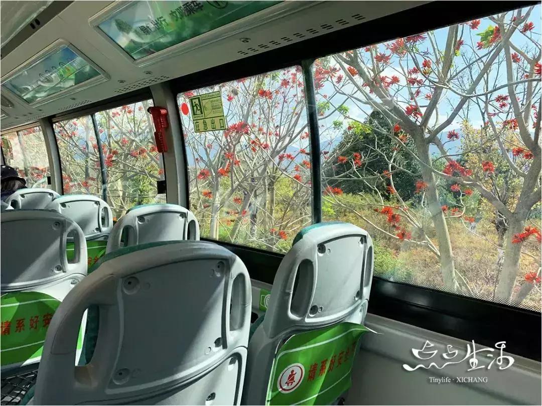 西昌春天一定不能错过的美景,不来黄山你永远不知道有多美