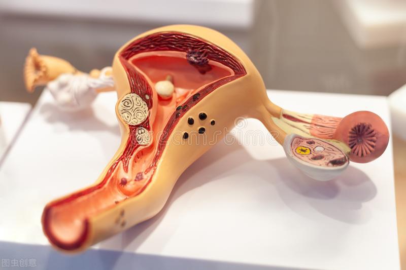 高危hpv分型都有哪些,hpv的高危型有哪几种