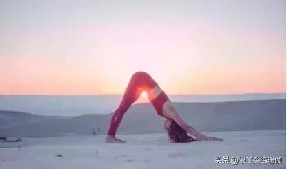 下犬式怎么做才正确,每天下犬式有什么好处