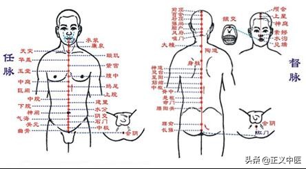 奇经八脉与身体的关系,奇经八脉十二正经走向口诀