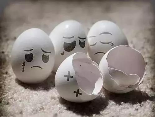 鸡蛋壳托盘手工作品创意,鸡蛋壳手工制作创意粘贴墙面画