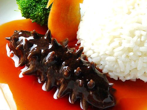 十大海参世界官方排名,海参十大产地排名