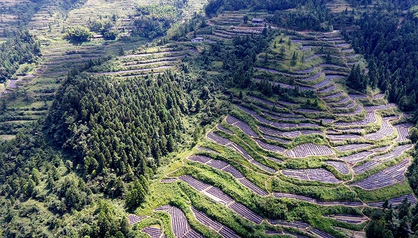 秀山区电商扶贫,秀山县乡村振兴办法