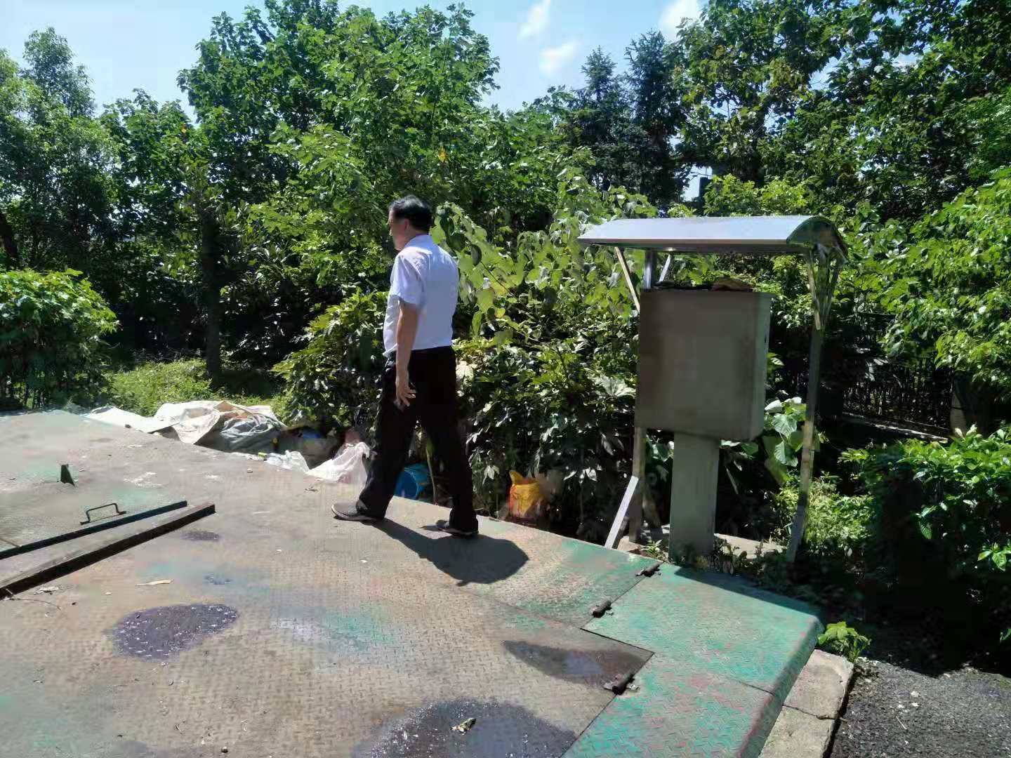 “泰弘进一品、处处显美景