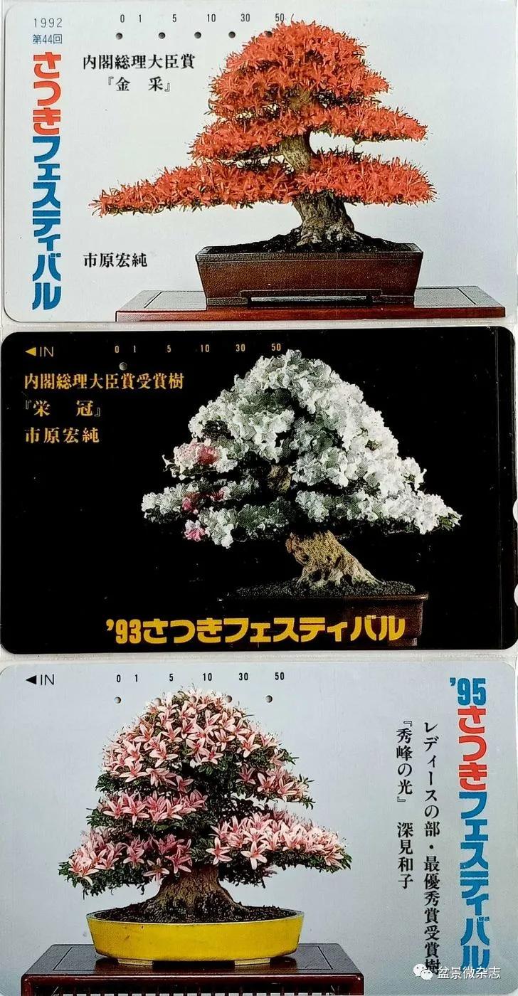 鐩嗘櫙鑱旂郴鐢佃瘽鍙风爜,涓鐩嗘櫙鑱旂郴鏂瑰紡