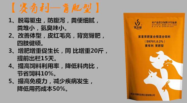 「技术」母猪发情时间的判断直接影响产仔数，如何鉴别发情？