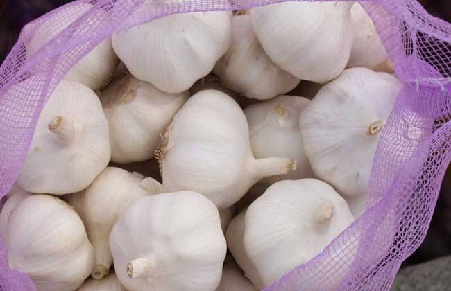 吃了大蒜吃什么可以消除异味,吃了大蒜臭味怎么去除