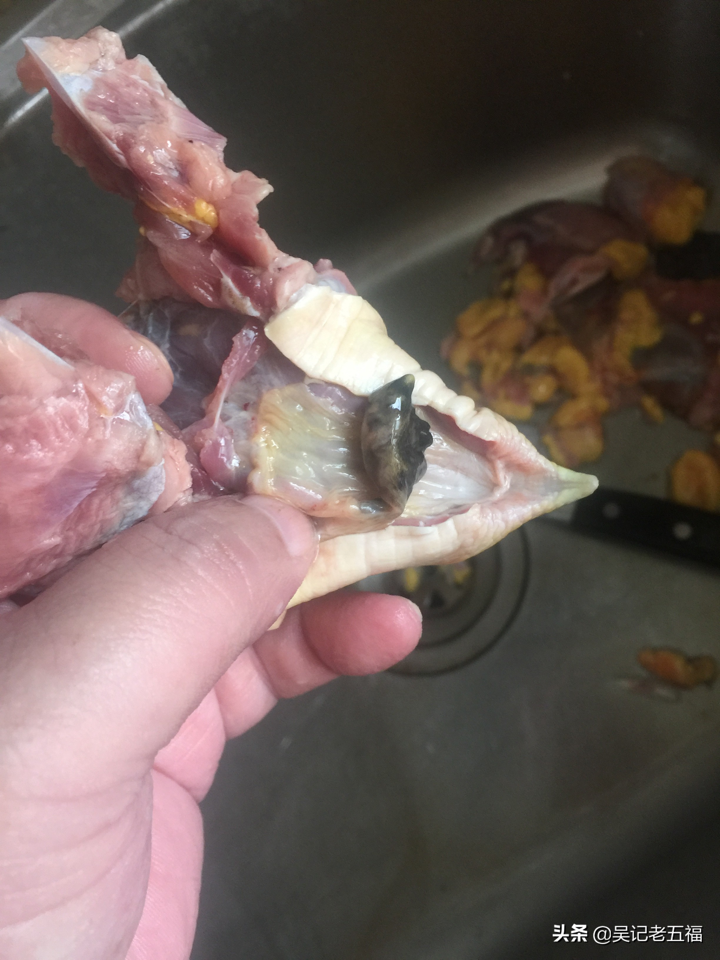 甲鱼排骨做法红烧,大师的菜红烧甲鱼