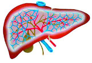 各种肿瘤并发症介入治疗,肿瘤和癌症早期怎么预防