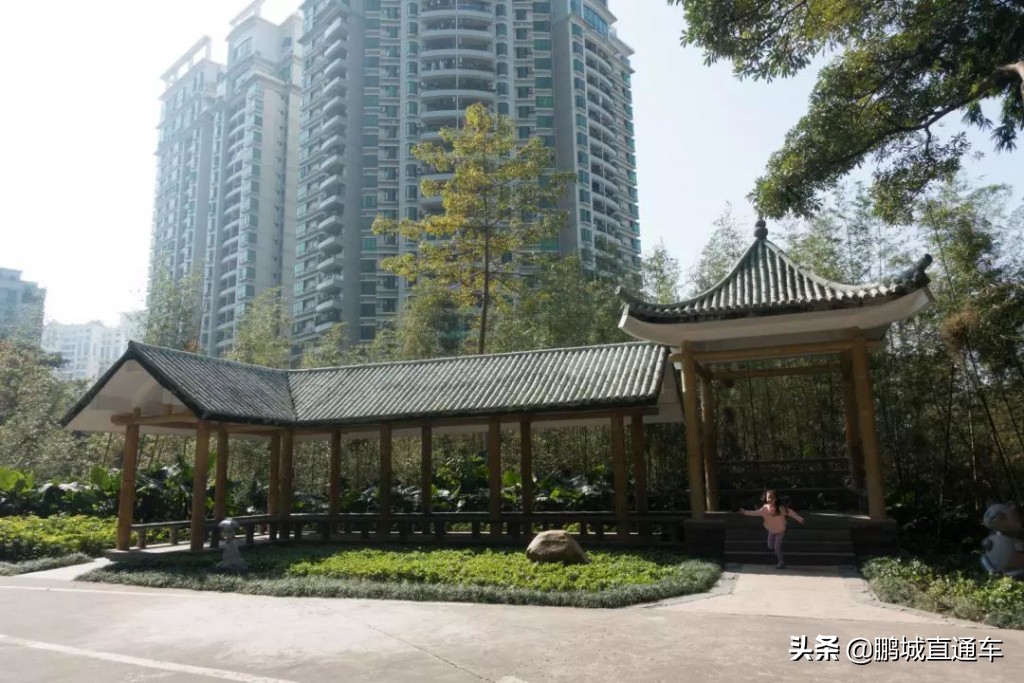 深圳八大主题公园免费开放,深圳遛娃50个必去的主题公园