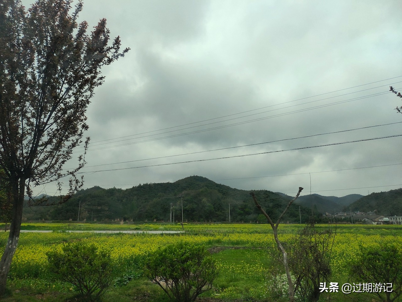 安吉大竹海旅行,冬季安吉大竹海景区