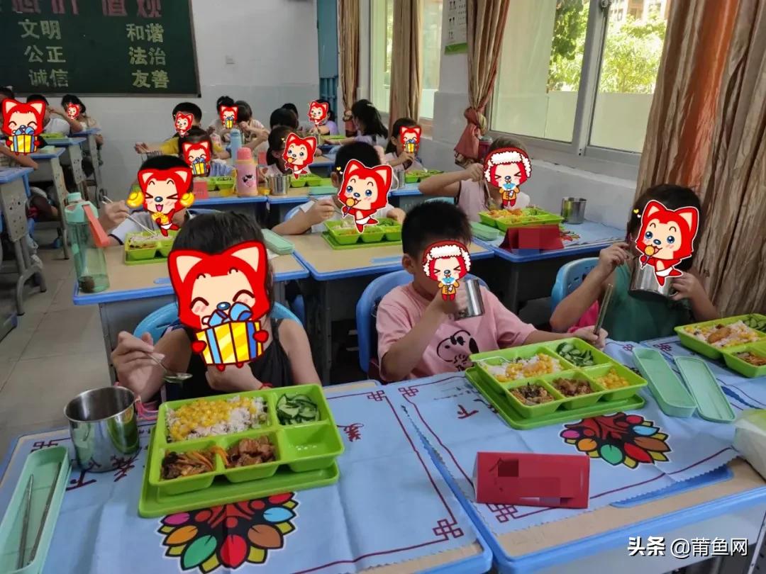 双减政策下丰富的课后生活,双减政策下学校课后服务实施方案