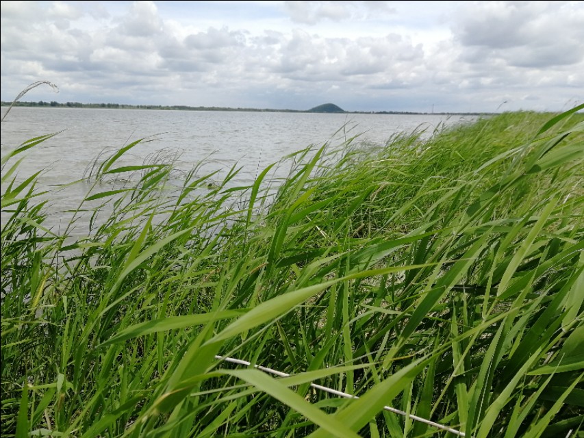 内蒙古通辽市扎鲁特旗大草原,通辽市阿古拉湿地公园