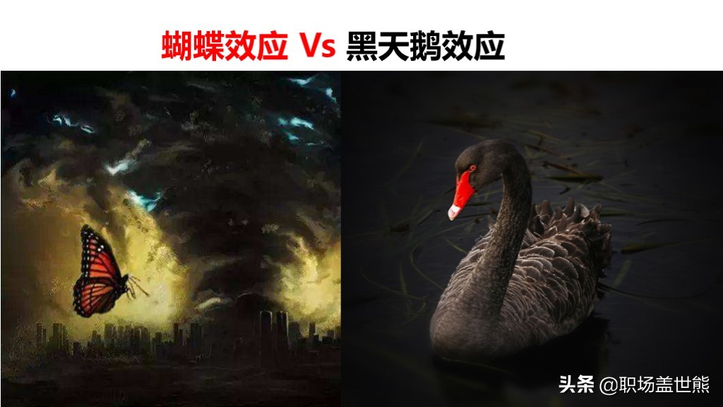 动物世界给我们的启示,动物世界教育意义