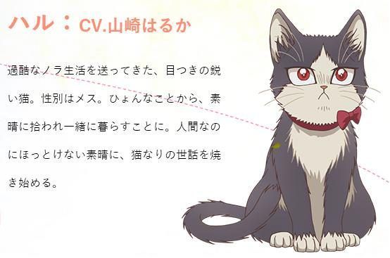 最萌新番,豆瓣8.8最佳纪录片女主