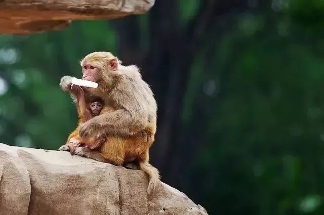 郑州2023年崛起吗,郑州今年还会升温吗