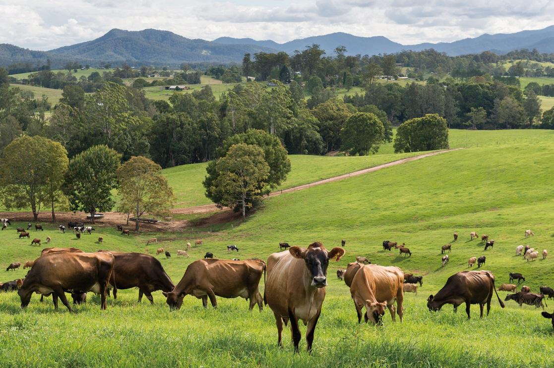融侨集团发展,融侨集团最新视频