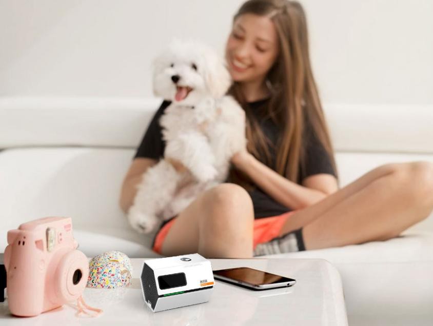 猫呕吐不吃东西怎么办吃什么药,猫消化不良呕吐怎么办解决方法