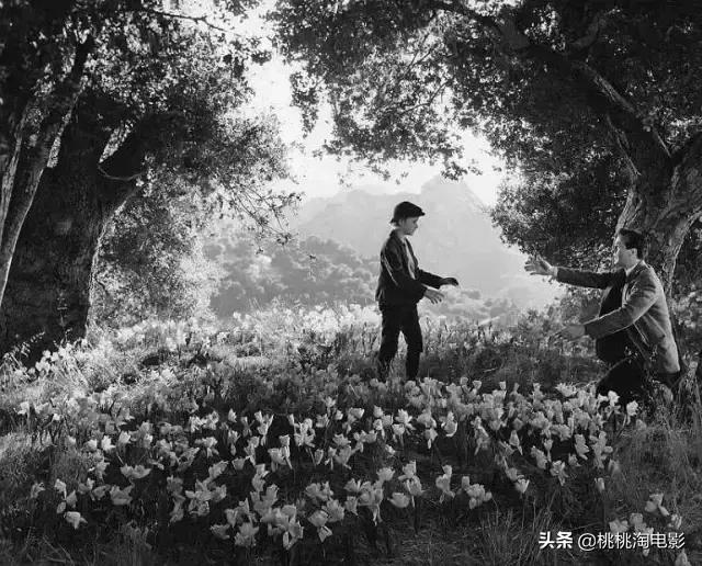 值得一看的一百部电影,重温经典100部电影