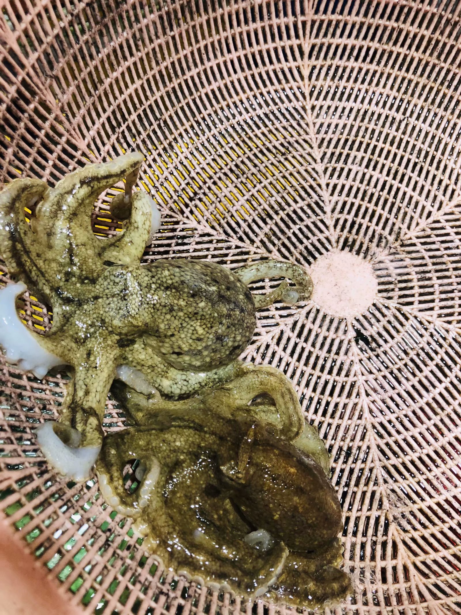 成都夫妻7天花5000玩遍涠洲岛（最后有防踩坑攻略）